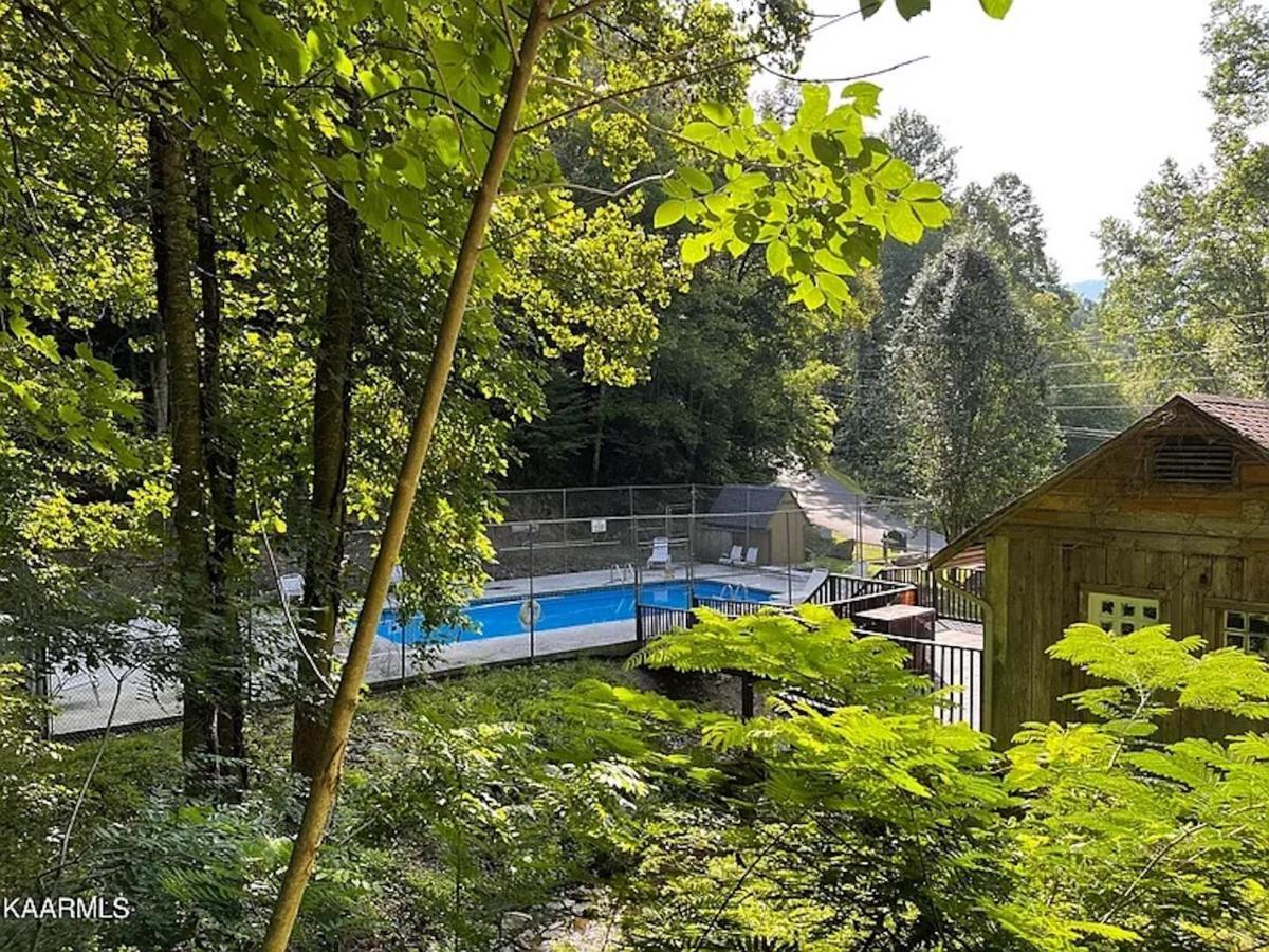 Hawks View Gatlinburg Mountain Cabin Zewnętrze zdjęcie